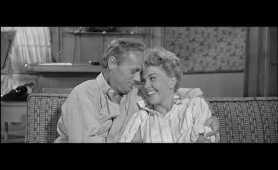 TUNNEL OF LOVE (1958)  (Doris Day, Richard Widmark, Gig Young, Gia Scala)
